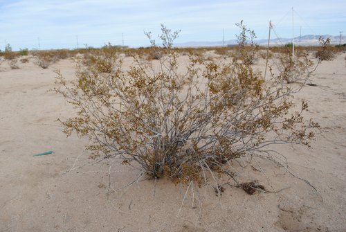 DSC_0329.JPG